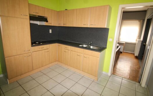 Gezinswoning met garage en tuin te Asse – ref.: 4577